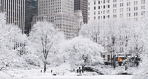 New York'tan Kar Manzaraları