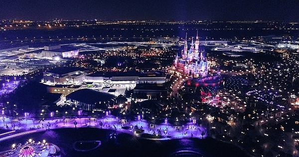 Disneyland Macerası...