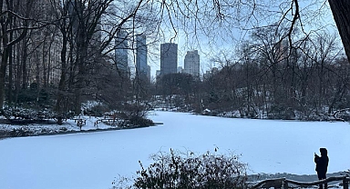 Central Park'ta Kış Manzarası