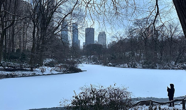 Central Park'ta Kış Manzarası