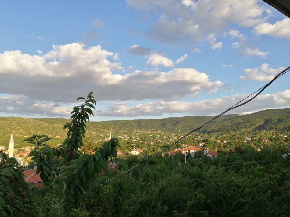 2020/06/1593559391_94045575-c8d2-4940-b040-dd1b809445f5.jpeg