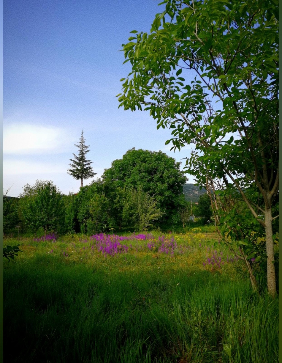 2020/06/1593559395_62e2e53b-4629-49f8-96b7-cb08494c9ed7.jpeg