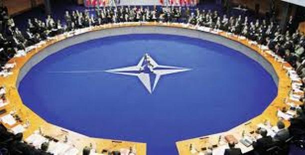 ‘Türkiye NATO’dan atılmalı’
