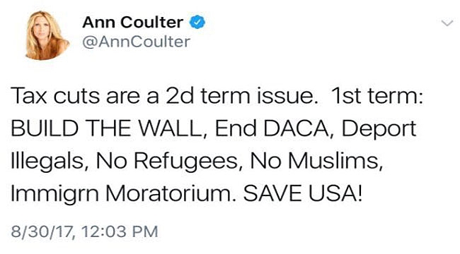 Ann Coulter Vergi Sistemini Eleştirdi
