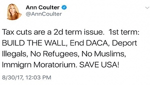 Ann Coulter Vergi Sistemini Eleştirdi