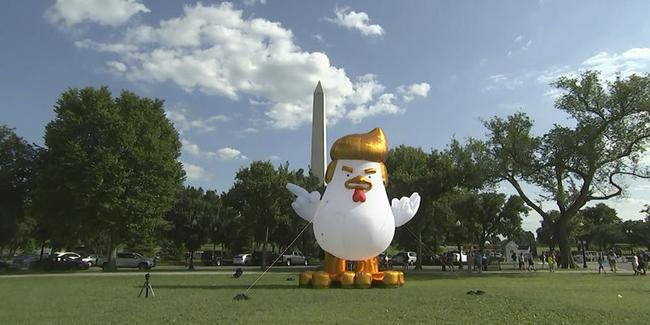 Beyaz Saray'ın bahçesine Trump Tavuk balonu