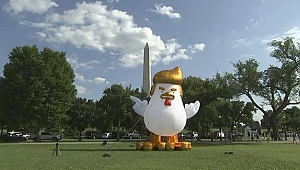 Beyaz Saray'ın bahçesine Trump Tavuk balonu