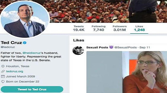 ABD'li Senatör Cruz Porno Beğenince...