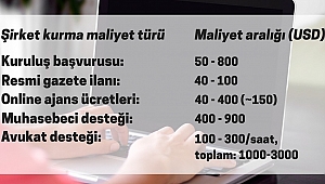 Amerika'da Şirket Kurmak istiyorsanız...
