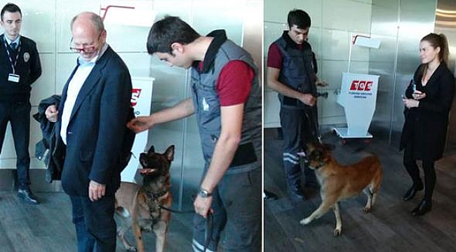 Köpekle Arayan Avusturya'ya Misilleme