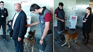 Köpekle Arayan Avusturya'ya Misilleme