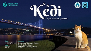 Kedi Filmi ABD'de Gösterime Girdi