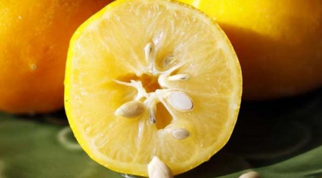 Corona'ya Karşı Limon