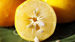 Corona'ya Karşı Limon