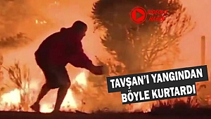 Alevlerin arasından Tavşanı Böyle Kurtardı