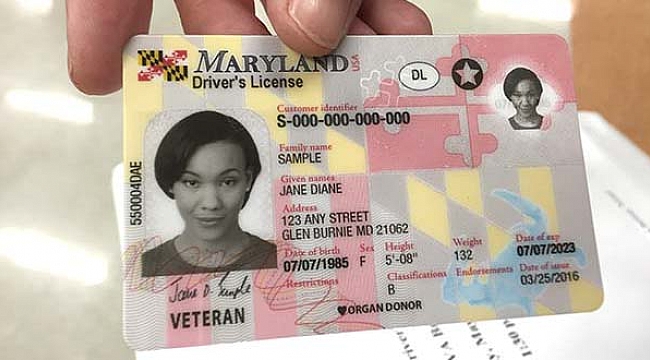 Maryland'ta Sahte Ehliyet Operasyonu