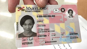 Maryland'ta Sahte Ehliyet Operasyonu
