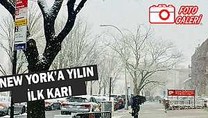 Yılın İlk Karı New York ve New Jersey'de