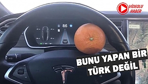 TESLA'nın Otomatik Pilotuna Portakal