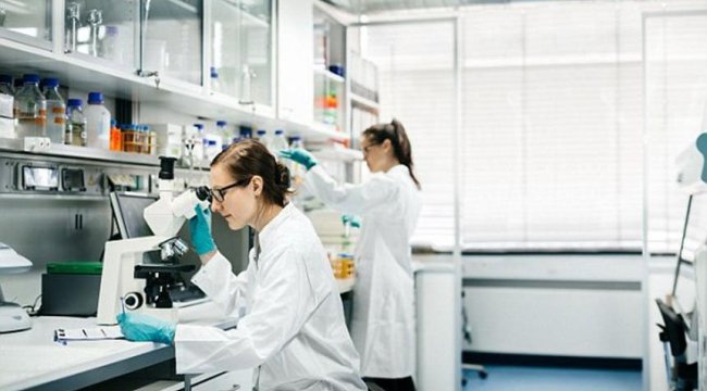 ABD’li uzmanlar: Transeksüellik genetik bir mutasyon