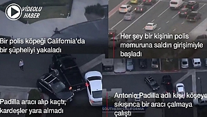 Hırsızı Polis Köpeği Yakaladı