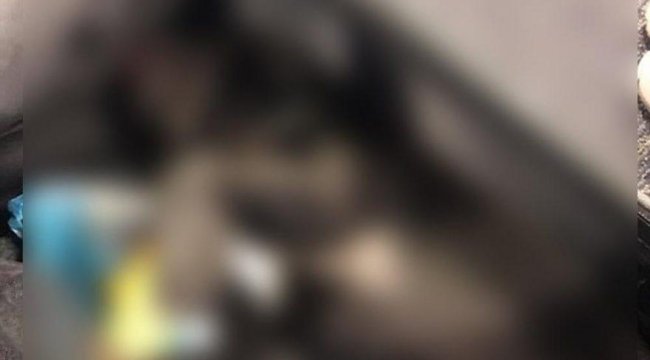 Köpeği dolaba kapatıp ölümüne neden oldular