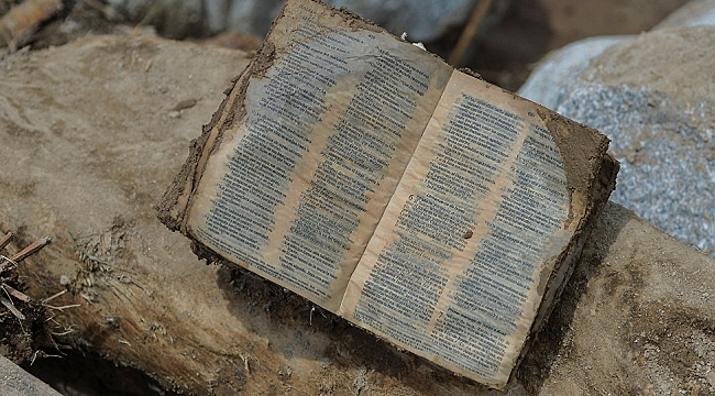 ABD'de 15 Yaş altı Hamilelik Arttı