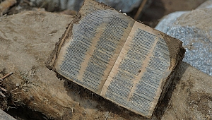 ABD'de 15 Yaş altı Hamilelik Arttı