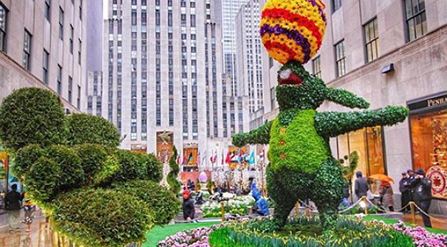 Color Egg Rockefeller Center, New York