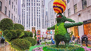 Color Egg Rockefeller Center, New York