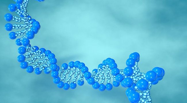 Avustralyalı bilim insanları DNA'nın yeni bir yapısını keşfetti