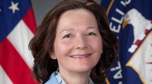 Gina Haspel'den Haşin Sorgulama İtirafı