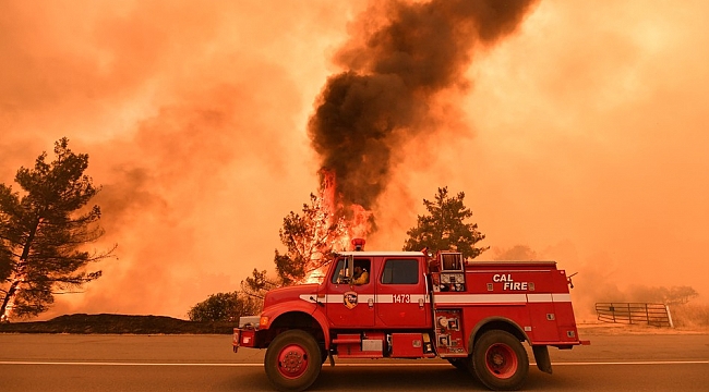 California'da Orman Yangını