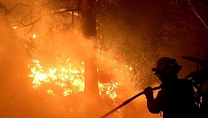 California Yanıyor