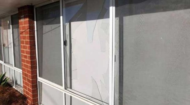 Sürpriz ziyaretçi camdan girdi!
