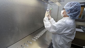 ABD’de Salmonella Virüsü Alarmı