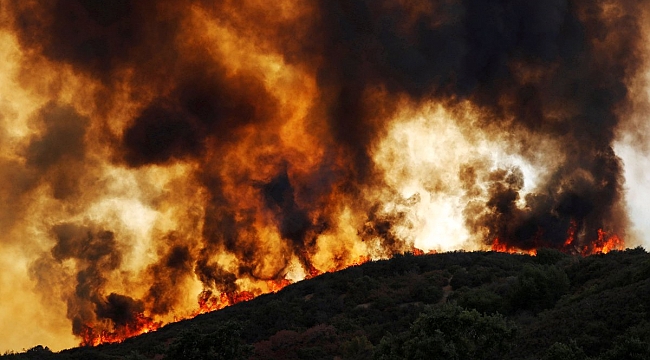 California'da Yangın: Bir şehir tahliye edildi