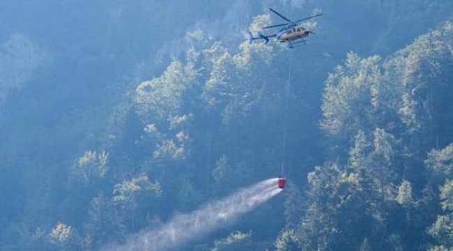 İsviçre'de küçük uçak ormanlık alana düştü