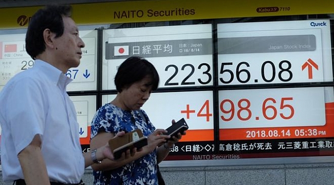 TL'nin Düşüşü Japon Yatırımcıyı Vurdu