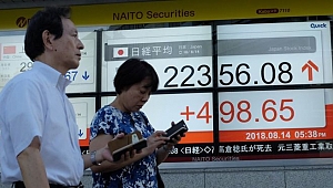 TL'nin Düşüşü Japon Yatırımcıyı Vurdu