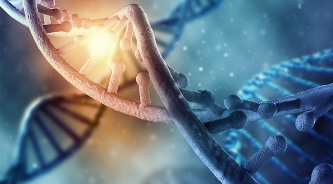 Çocuklara yönelik taciz DNA'yı etkiliyor
