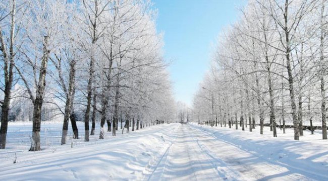 Kanada'da Hava eksi 45 dereceye kadar düşecek