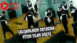 Tavan arasından Piton Yılanı Düştü