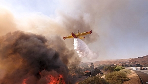 California’da Ölü Sayısı Yükseliyor