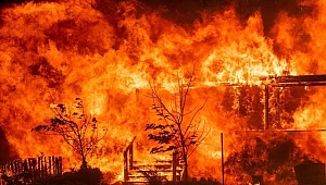 California Yangınının Bilançosu