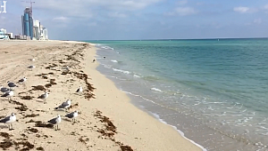 Miami Başkonsolosluğundan Önemli Uyarı
