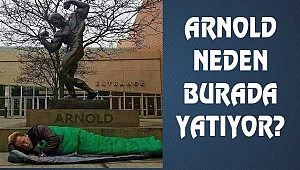 Arnold Neden Heykelinin Önünde Yatıyor?