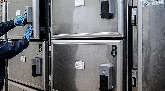 ABD’de Kadın Kafası Dikilmiş Erkek Cesedi Bulundu