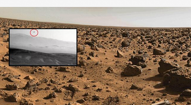 Mars'ta Kuş mu var?