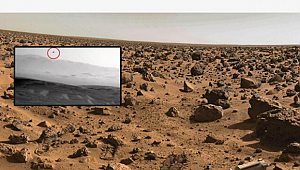 Mars'ta Kuş mu var?